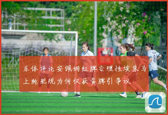 东体评论安佩姆红牌合理性埃朱马上轮犯规为何仅获黄牌引争议